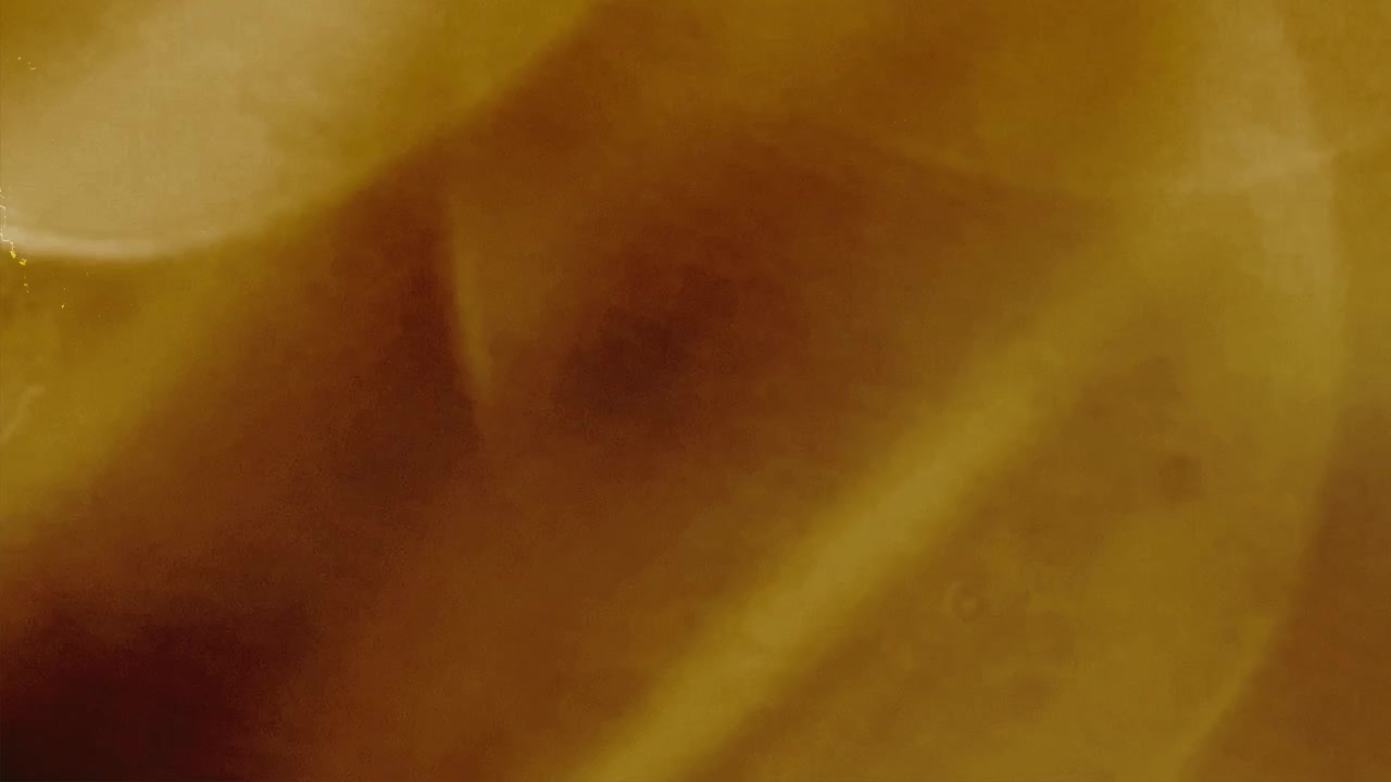 Sobreposição de vazamentos de luz abstratos e reflexos de lente