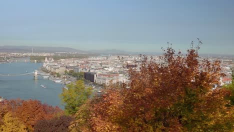 pan to the left from autumn trees to budapest from buda gellért hill