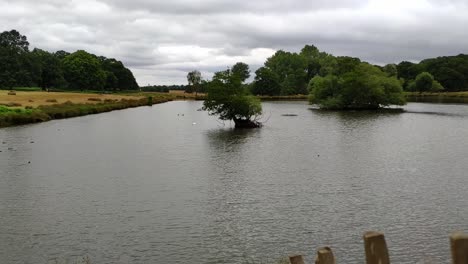 Uno-De-Los-Estanques-En-El-Centro-De-Richmond-Park-En-Un-Día-Nublado