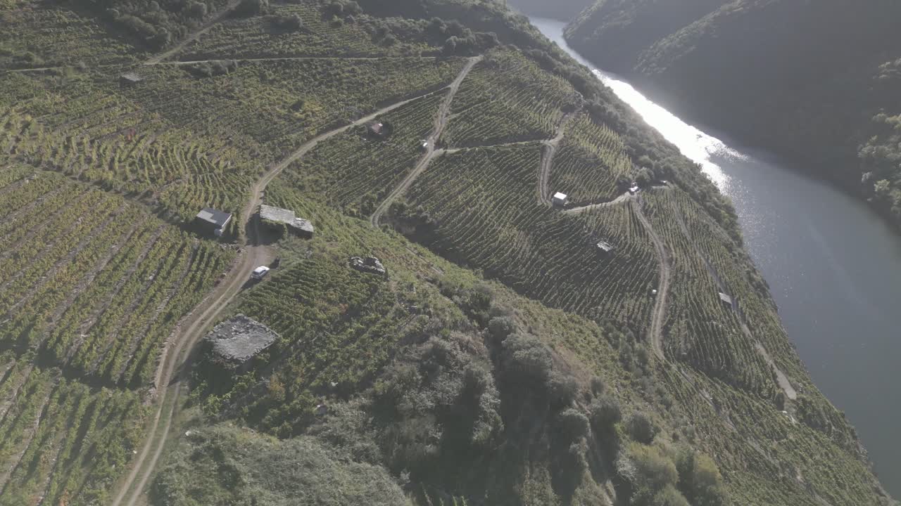 Vista aerea di vigneti su una collina dal Canyon del Sil a Ribeira Sacra, Spagna