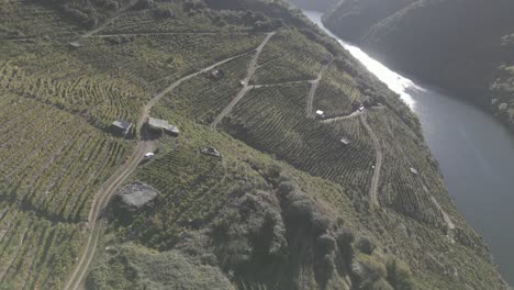 Aerial-View-Of-Vineyards-On-Hill-From-Sil-Canyon-at-Ribeira-Sacra,-Spain