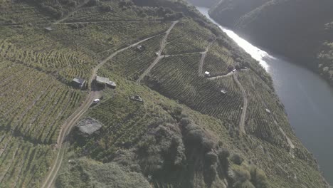 aerial view of vineyards on hill from sil canyon at ribeira sacra, spain