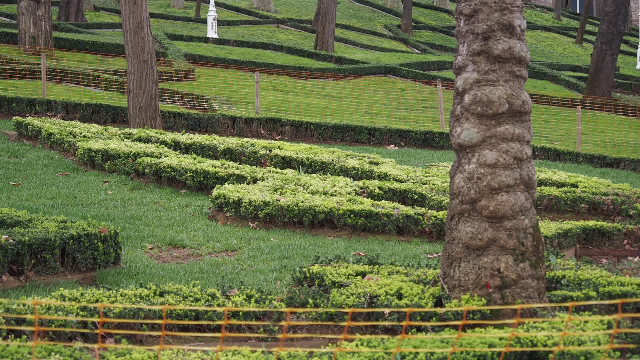 un hermoso jardín con hierba verde exuberante, setos y árboles