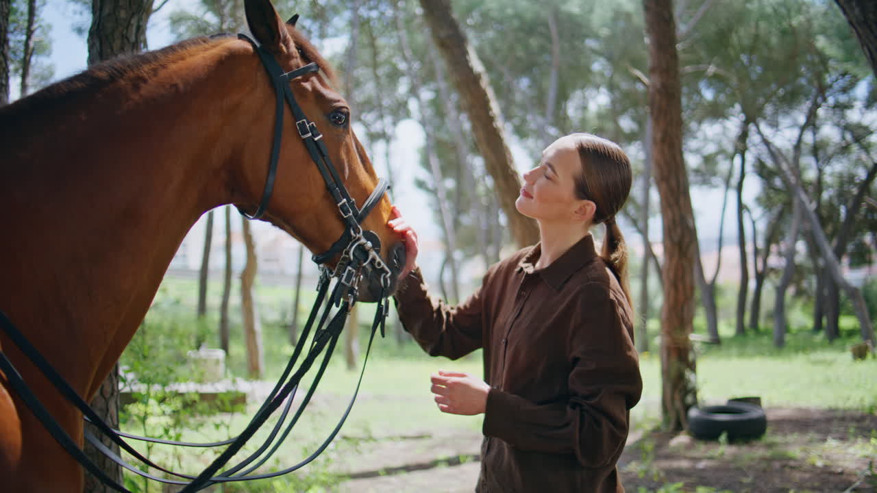 Horse owner communicating animal at peaceful park with warm sunlight closeup