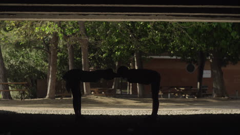 stretching before training