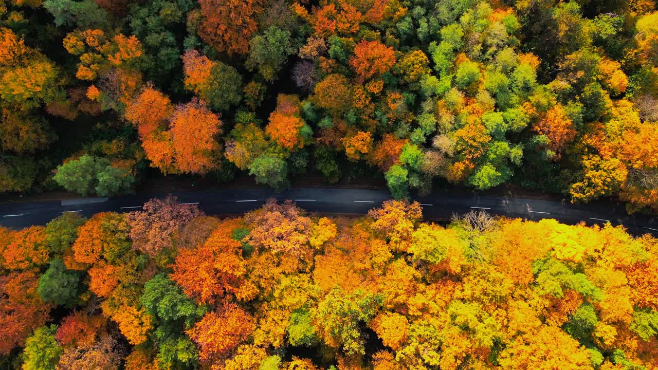 Stunning aerial 4K drone video of a Slovenia 's fall beauty and road in the middle of a lush forest