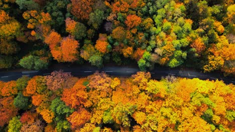 Atemberaubendes-4K-Drohnenvideo-Aus-Der-Luft-Von-Der-Herbstschönheit-Sloweniens-Und-Einer-Straße-Inmitten-Eines-üppigen-Waldes