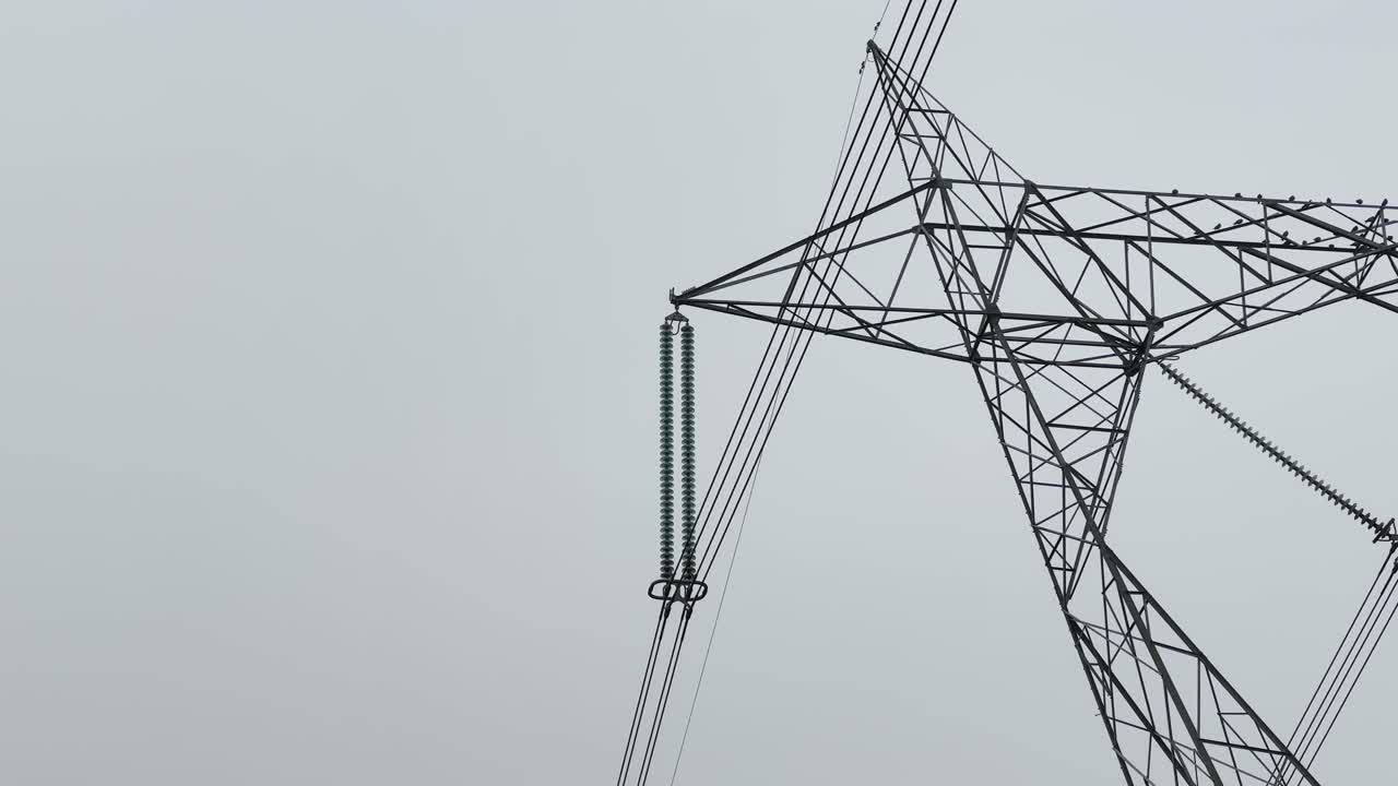 Close-up view of a transmission tower showing a vertical string of dark ribbed glass insulators attached to steel lattice structure with overhead power lines against a pale sky