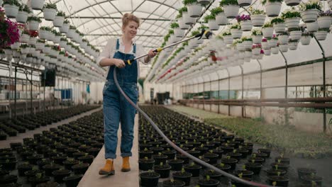 happy girl farmer in denim overalls walks along rows with young plant sprouts and waters them using a modern watering can