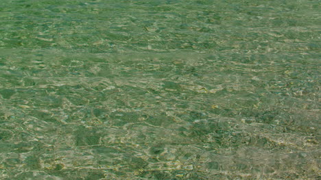 reflejos del sol en la superficie del agua