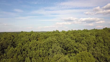 top down aerial view of green summer forest with many fresh trees