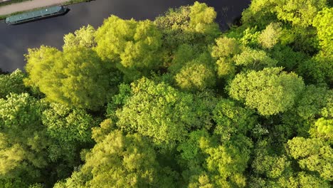 birds eye drone shot of a beautiful english canal in the summer time , showing tree tops , reflective canal and a grey carpark from a supermarket