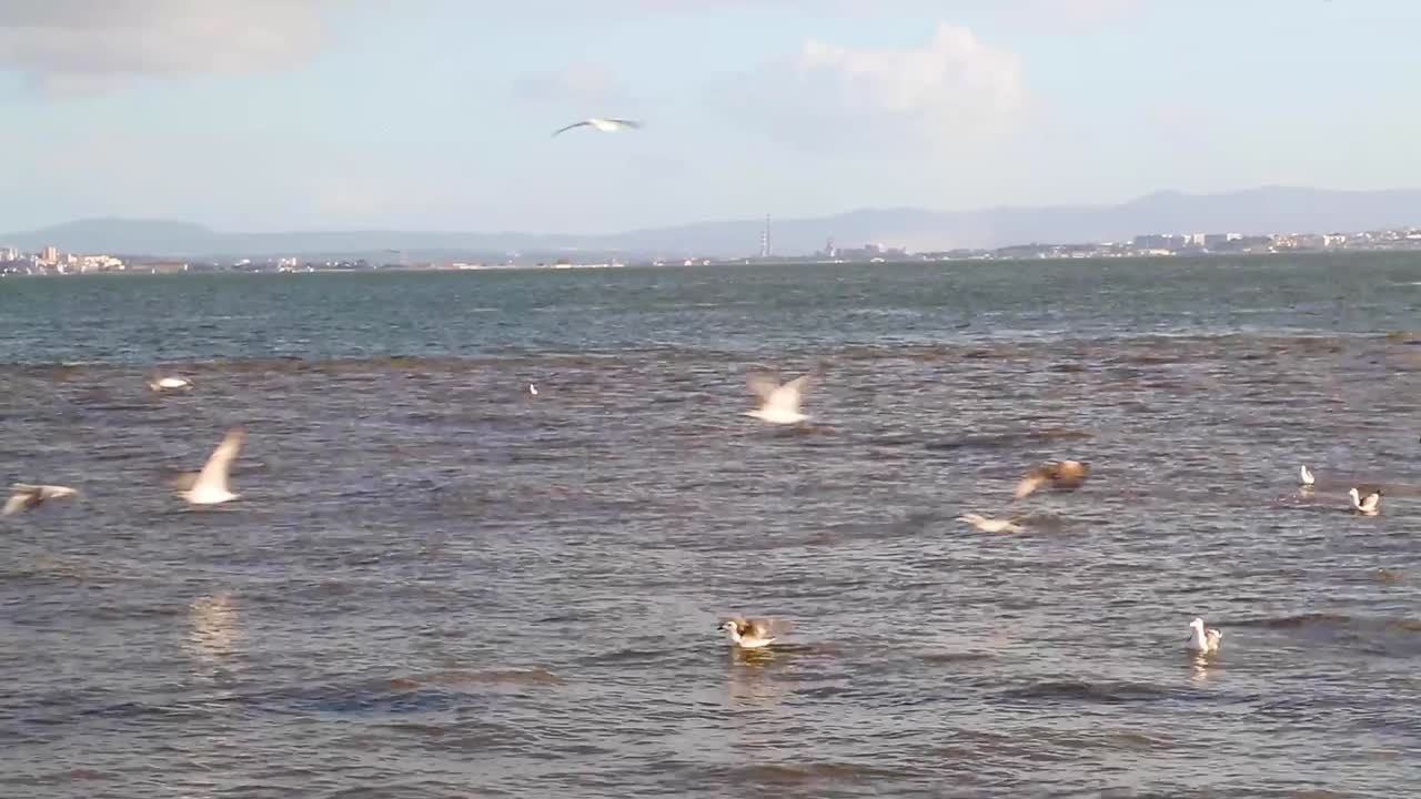 Tagus river in Lisbon, Portugal