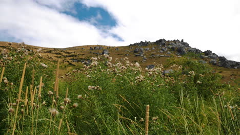 Bottom-up-view-of-grass-and-flowers-growing-in-front-of-rocky-castle-hill-in-summer