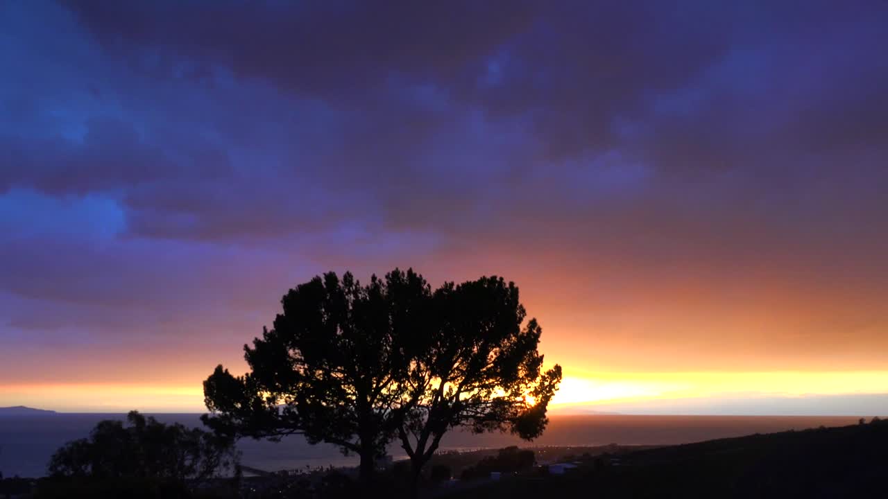 un hermoso amanecer o atardecer a lo largo de la costa de california con un árbol recortado en primer plano