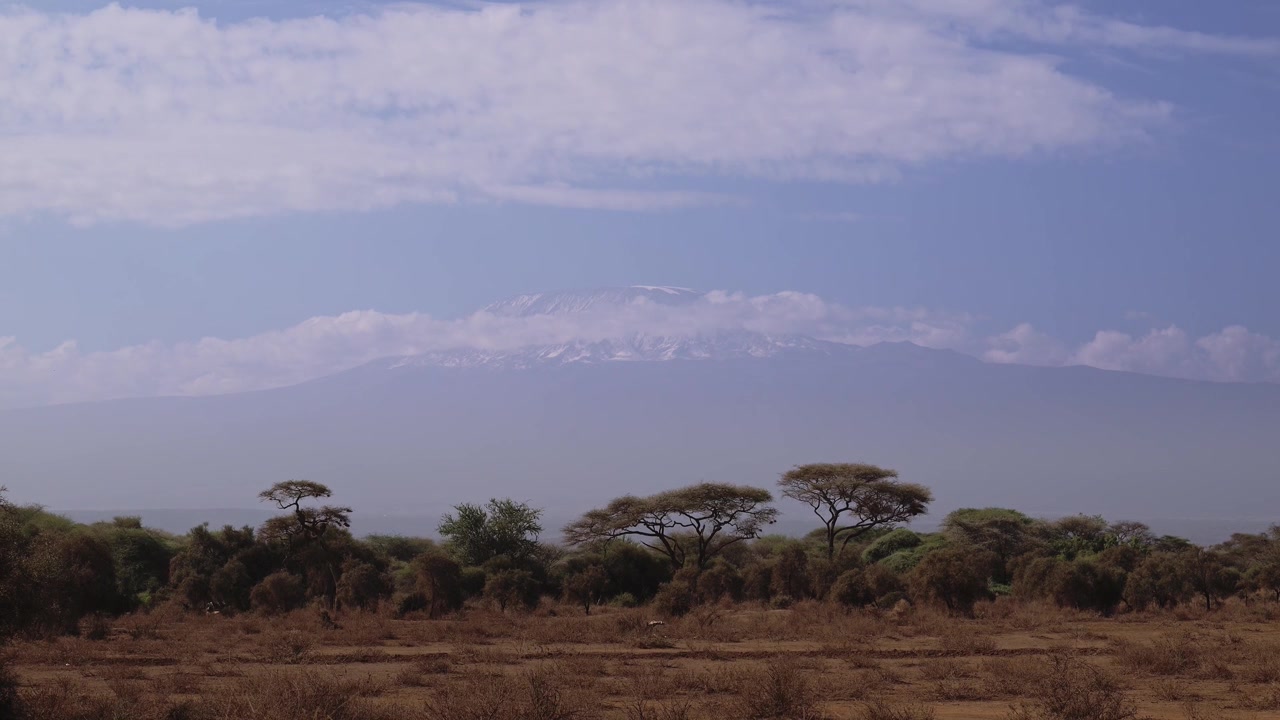 Cima del Monte Kilimanjaro dal Parco Nazionale di Amboseli in Kenya, la montagna più alta dell'Africa con la cima innevata
