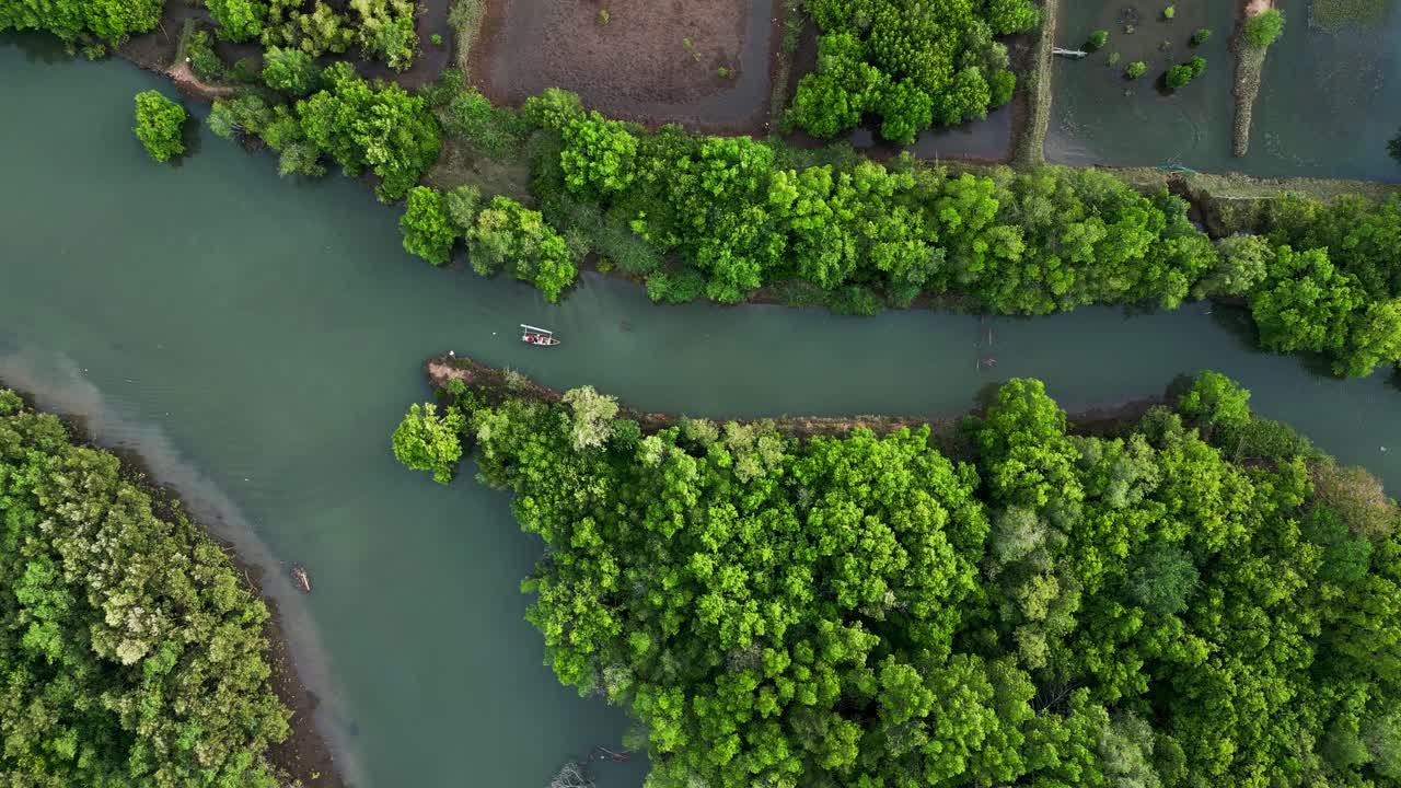Bali mangroves stretch along the calm riverbanks as a lone fishing boat navigates the peaceful waters surrounded by vibrant greenery and bright daylight in a quiet tropical scene.