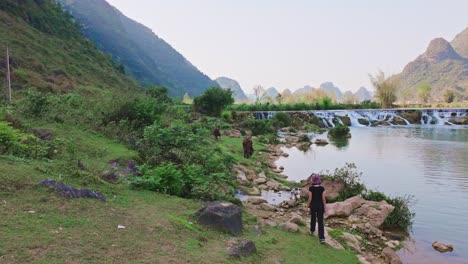 it features a serene river with a small cascade, lush greenery, and a girl walking along the riverbank