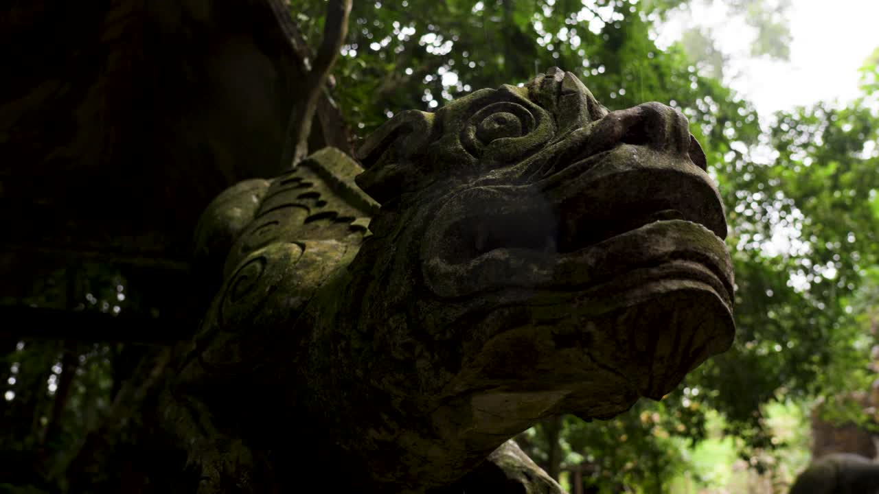 Close-up shot of an Asian dragon stone sculpture at Tarnim Magic Garden