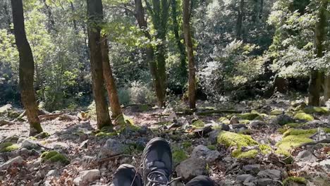 feet of hiker couple resting on rocky ground in deep forest on early autumn sunny day, part 3, tilt up