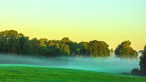 Mysterious-fog-time-lapse,-reveal-clear-sky-and-green-forest-landscape-in-woods