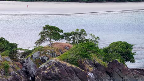 Drone camera smoothly pans over a rocky, tree-covered cape meeting clear blue waters, revealing coastal landscape and lush greenery in natural daylight