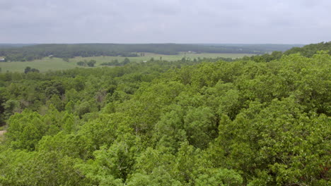 árboles y bosques elevados y hacia el campo en missouri en un bonito día de verano