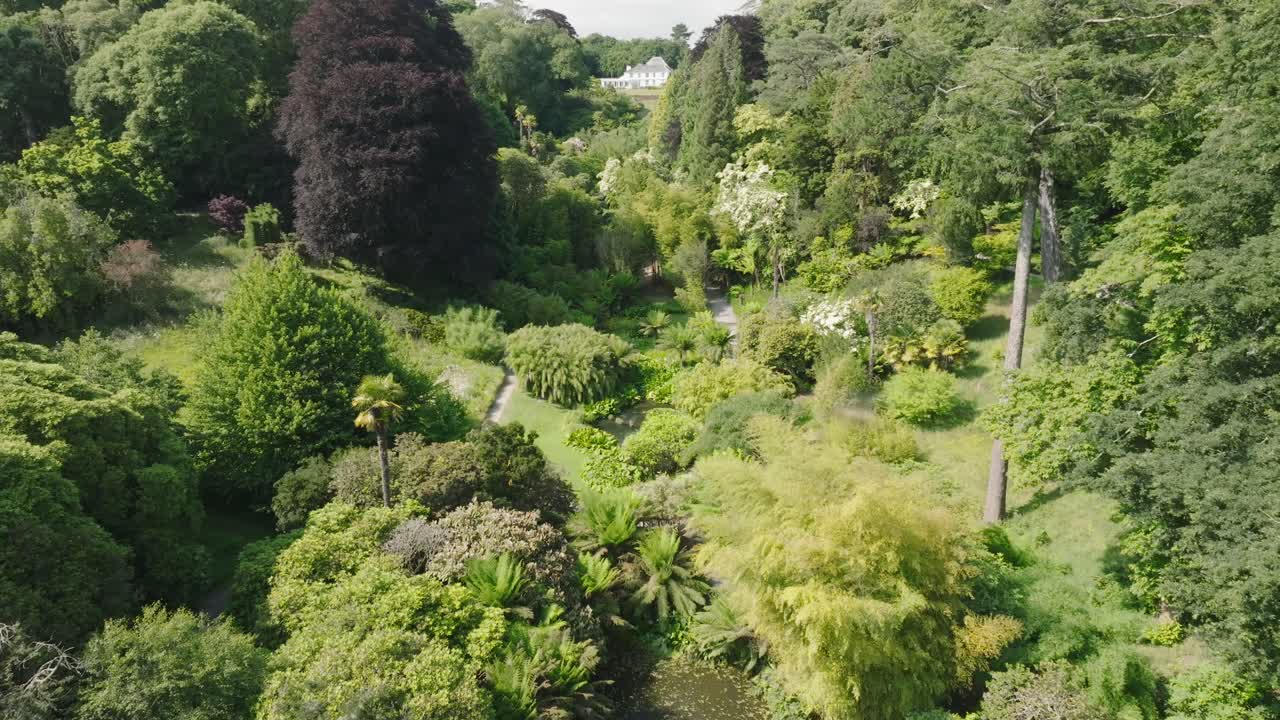 Tree lined tropical garden paradise valley with buzzing insects and white mansion at valley head. Summer day.