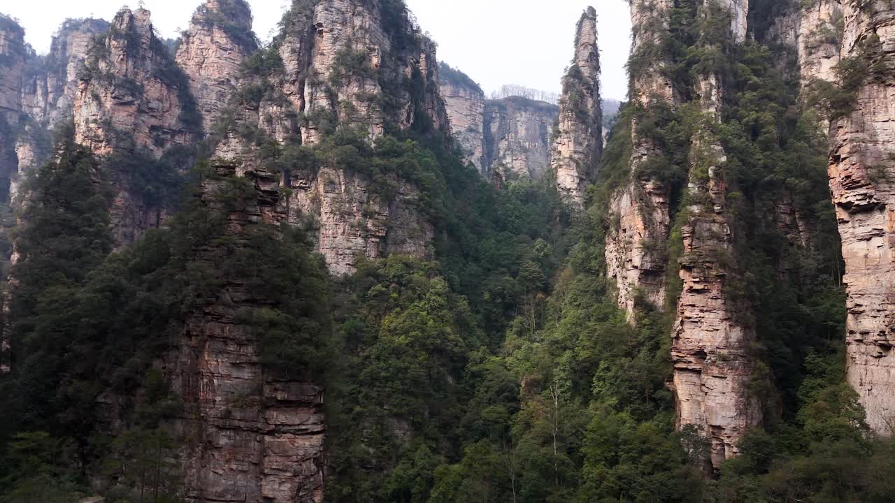 Tall sandstone pillars rise amid dense green forest, creating a surreal and majestic landscape.