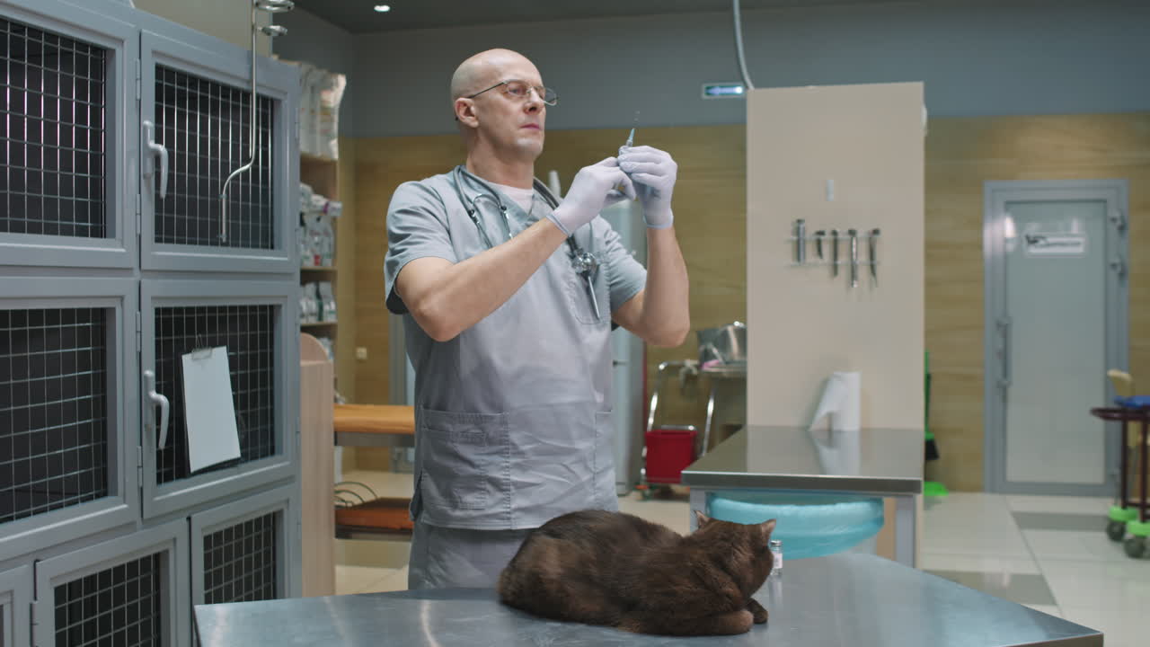 Veterinario che fa un'iniezione a un gatto
