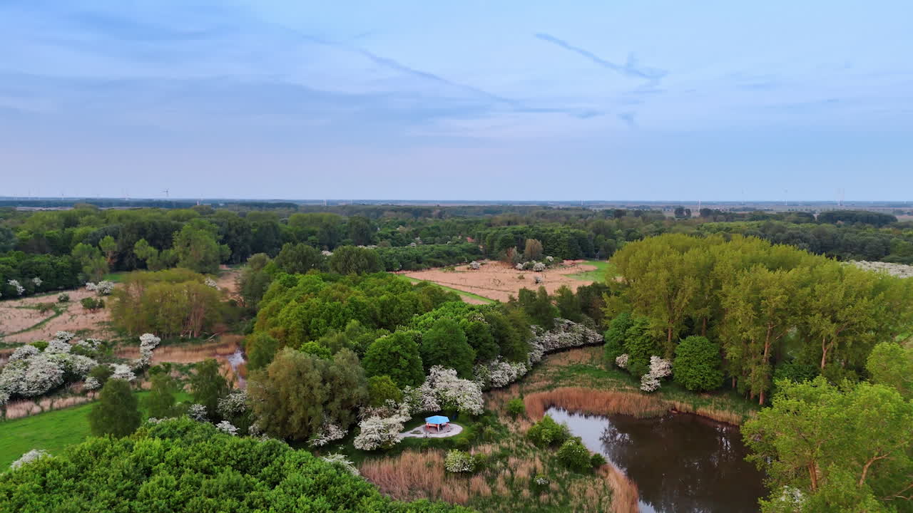 Twilight pond in green fields. A serene view of lush greenery surrounding a pond during twilight, showcasing nature's beauty and tranquility