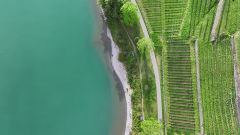 Blick-Auf-Grüne-Felder-In-Den-Alpen