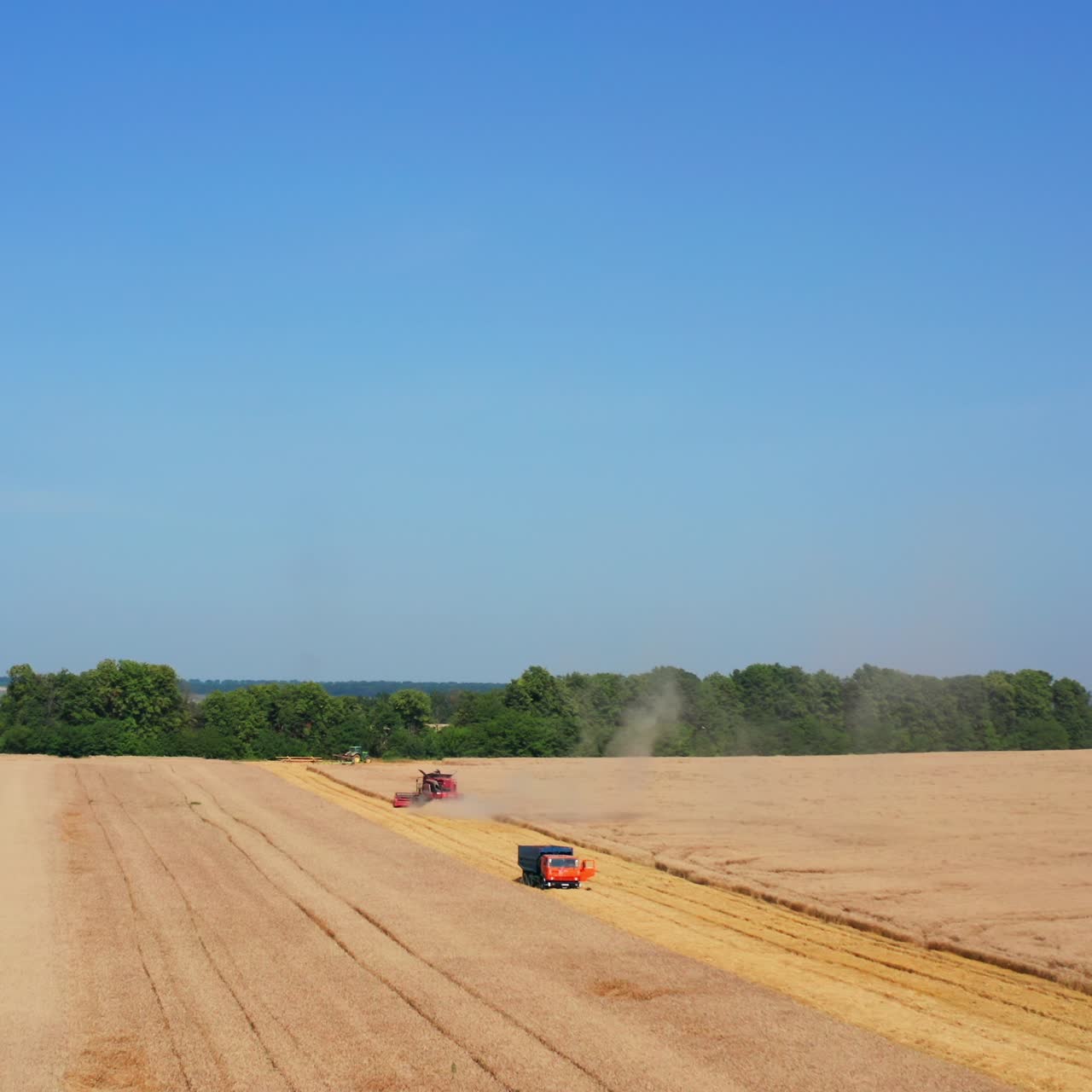 Fantastic yellow ripe wheat field contrasting with clear blue sky. Drone shot approaching the machinery working in the farmland. Aerial view