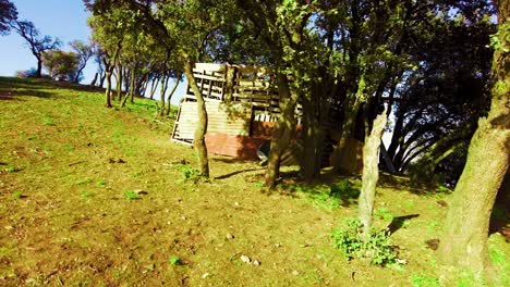 a-wooden-hut-at-the-top-of-the-Algerian-Atlas-mountain