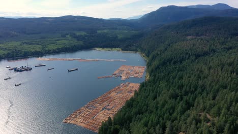 Vista-Aérea:-Remolcadores-Navegan-Madera-Flotante-En-La-Entrada-Del-Río-Campbell,-Isla-De-Vancouver