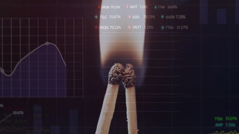 animación del procesamiento de datos financieros a través de coincidencias encendidas