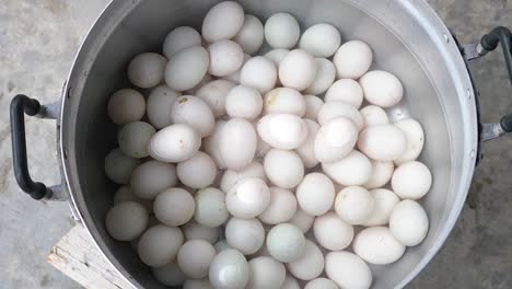 top down motion, boiled duck eggs on stainless steel pan with steam - thailand food