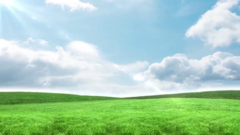 cielo azul sobre campo verde