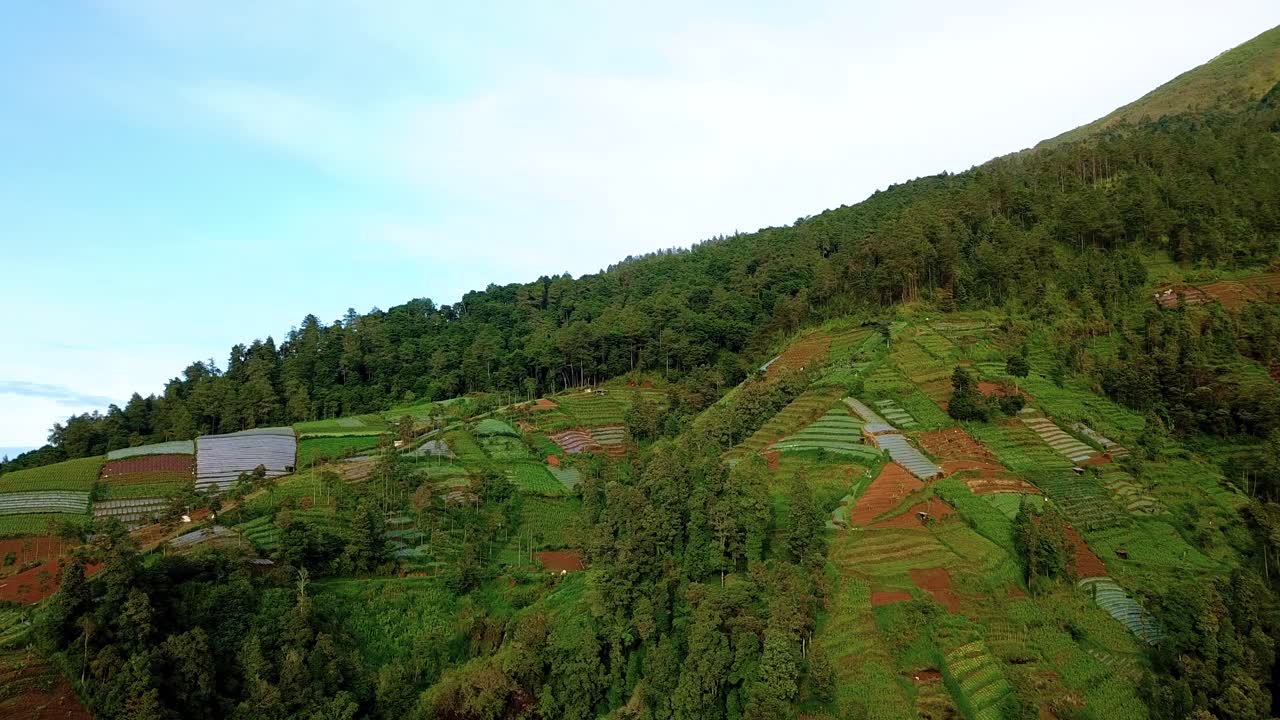 imágenes de drones de plantaciones vegetales con bosque en la ladera de la montaña tropical - deforestación en la montaña sumbing, indonesia