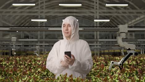 asian man researcher using smartphone and looking around while standing in the greenhouse with smart robotic farmers