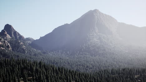 beautiful mountain view with pine forest