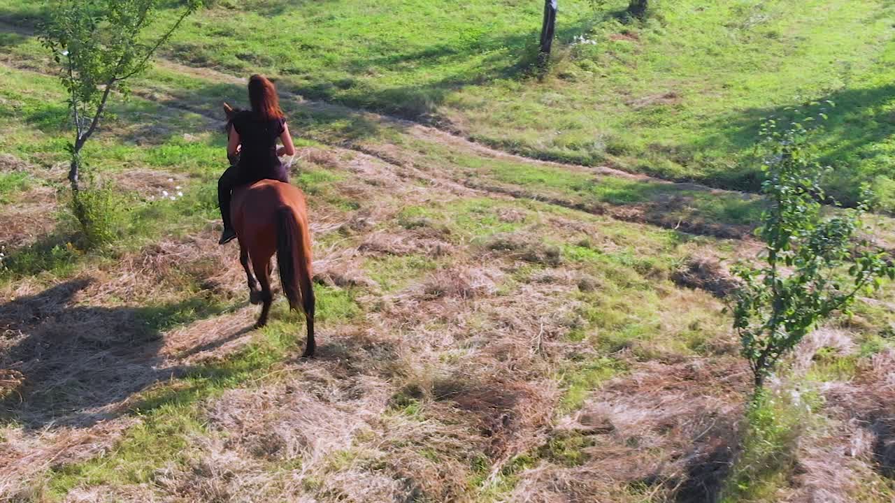 Girl ride a horse without saddle in walk gait between plum trees, filmed by drone in panning shot, Bulgaria
