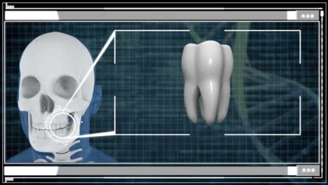 Mano-Usando-La-Interfaz-De-Pantalla-Táctil-Médica