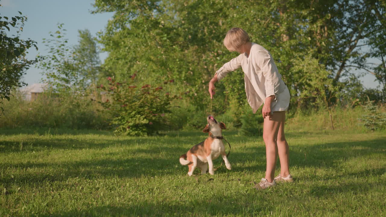 el dueño del perro instruye al perro lúdico a darse la vuelta en un jardín al aire libre con vegetación exuberante y árboles bajo un cielo soleado, mostrando la unión, el entrenamiento y la interacción entre la mascota y el dueño