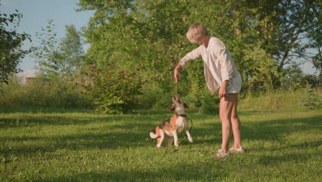 dog owner instructing playful dog to turn around in outdoor garden with lush greenery and trees under sunny sky, showcasing bonding, training, and interaction between pet and owner