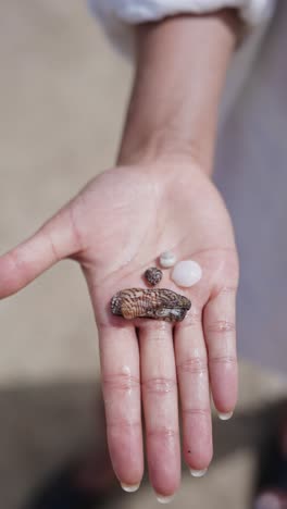 Vertikale-Aufnahme-Mehrerer-Muscheln-In-Der-Hand-Einer-Kaukasischen-Frau,-Strand-Auf-Mallorca