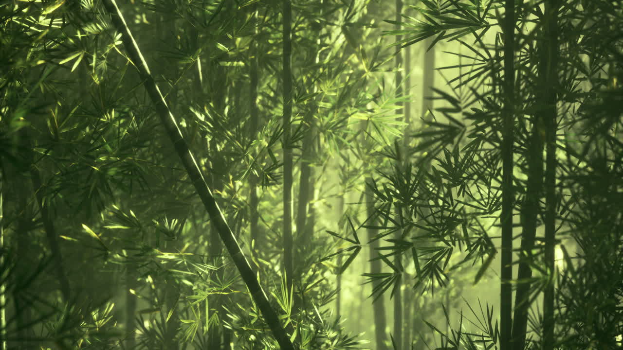 Bamboo forest with sunlight filtering through leaves in a serene setting