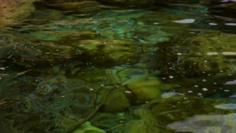 seawater texture with calm surface reflecting sunlight on shore of mediterranean sea