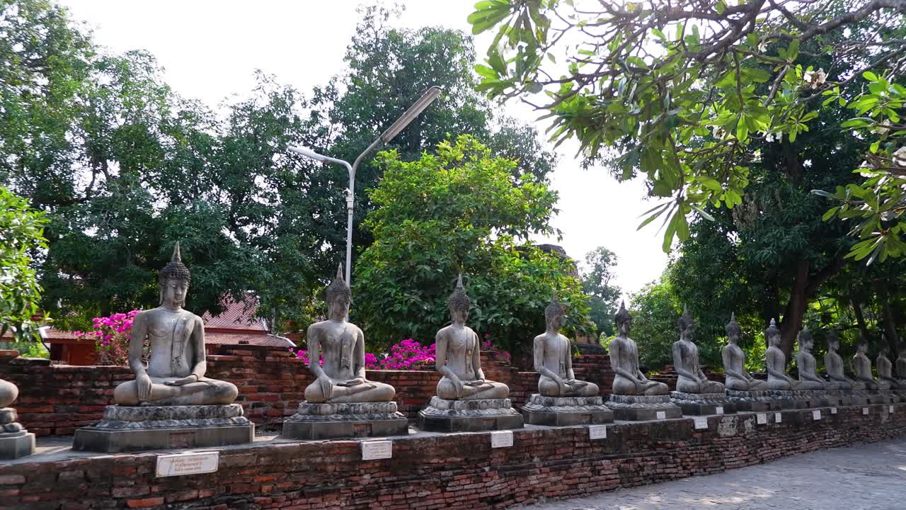 fila de estatuas de buda en el jardín sereno