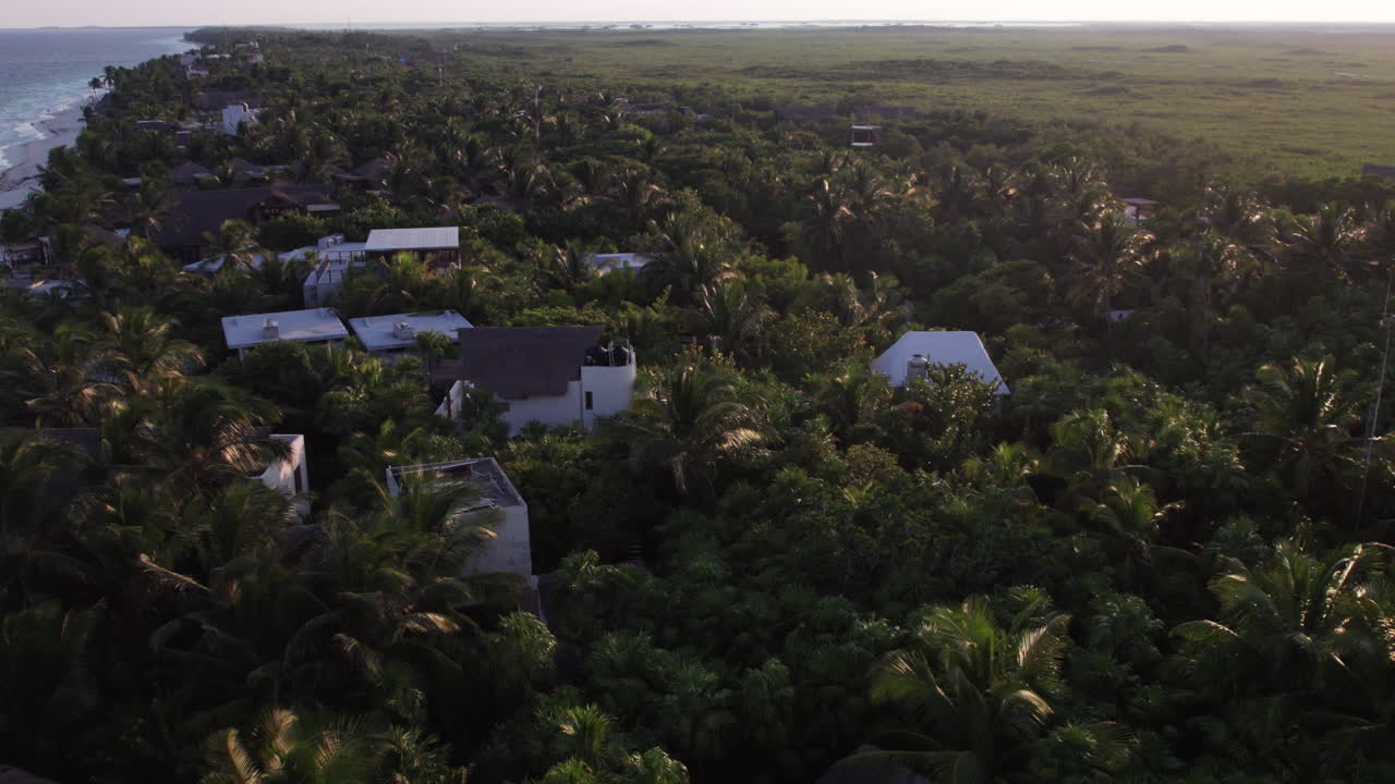 foto aérea de arriba hacia abajo de palmeras con cabañas y chozas en una playa de arena blanca, océano azul cristalino en tulum, méxico